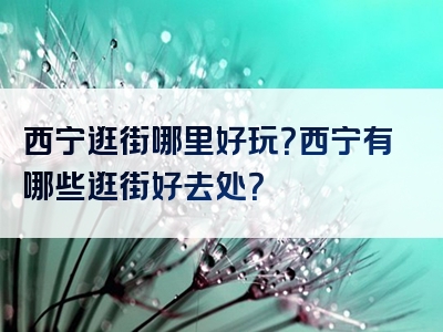 西宁逛街哪里好玩？西宁有哪些逛街好去处？