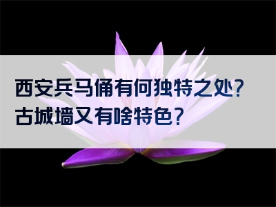 西安兵马俑有何独特之处？古城墙又有啥特色？