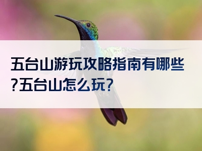 五台山游玩攻略指南有哪些？五台山怎么玩？