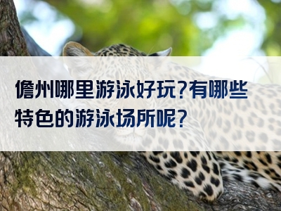 儋州哪里游泳好玩？有哪些特色的游泳场所呢？