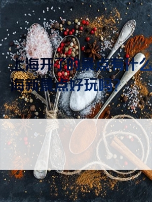 上海开了的景点有什么？上海新景点好玩吗？