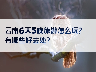 云南6天5晚旅游怎么玩？有哪些好去处？