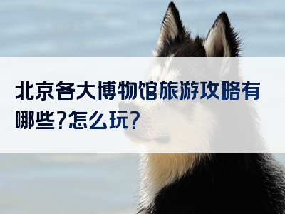北京各大博物馆旅游攻略有哪些？怎么玩？