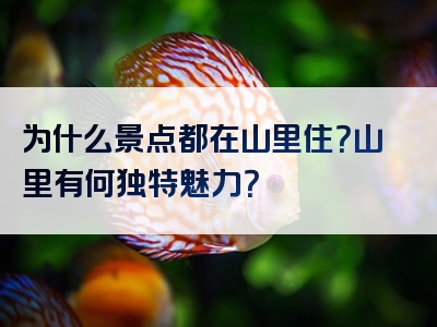 为什么景点都在山里住？山里有何独特魅力？