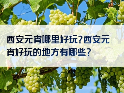 西安元宵哪里好玩？西安元宵好玩的地方有哪些？