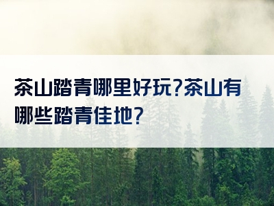 茶山踏青哪里好玩？茶山有哪些踏青佳地？
