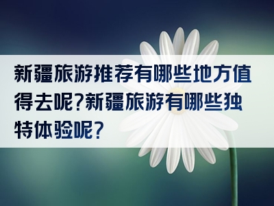 新疆旅游推荐有哪些地方值得去呢？新疆旅游有哪些独特体验呢？