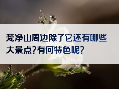 梵净山周边除了它还有哪些大景点？有何特色呢？