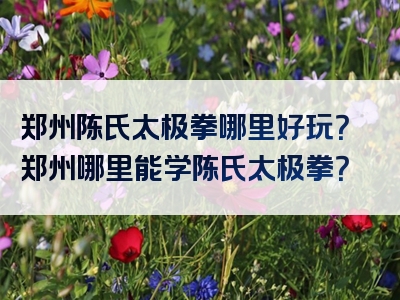 郑州陈氏太极拳哪里好玩？郑州哪里能学陈氏太极拳？