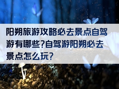 阳朔旅游攻略必去景点自驾游有哪些？自驾游阳朔必去景点怎么玩？