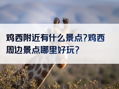 鸡西附近有什么景点？鸡西周边景点哪里好玩？