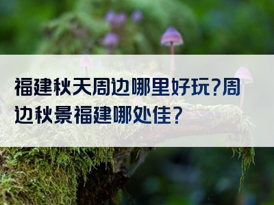 福建秋天周边哪里好玩？周边秋景福建哪处佳？
