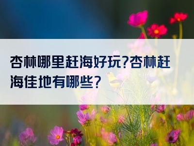 杏林哪里赶海好玩？杏林赶海佳地有哪些？