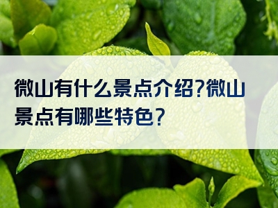 微山有什么景点介绍？微山景点有哪些特色？