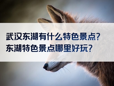 武汉东湖有什么特色景点？东湖特色景点哪里好玩？