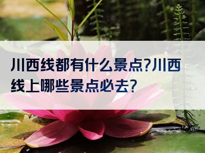 川西线都有什么景点？川西线上哪些景点必去？