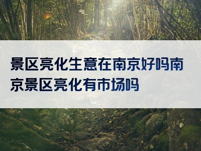 景区亮化生意在南京好吗南京景区亮化有市场吗
