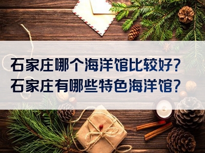石家庄哪个海洋馆比较好？石家庄有哪些特色海洋馆？