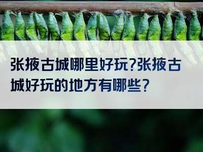 张掖古城哪里好玩？张掖古城好玩的地方有哪些？