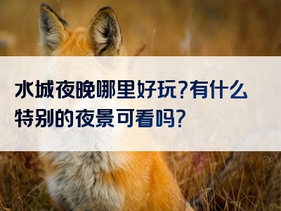 水城夜晚哪里好玩？有什么特别的夜景可看吗？
