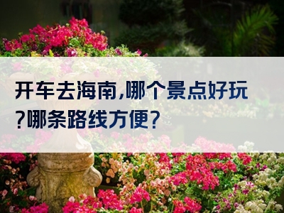 开车去海南，哪个景点好玩？哪条路线方便？