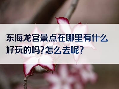 东海龙宫景点在哪里有什么好玩的吗？怎么去呢？