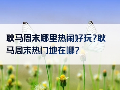 耿马周末哪里热闹好玩？耿马周末热门地在哪？