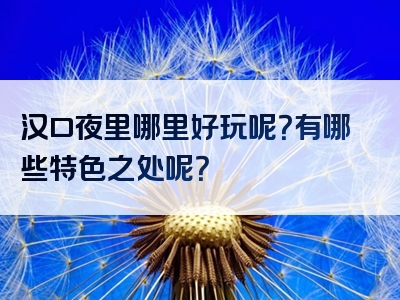 汉口夜里哪里好玩呢？有哪些特色之处呢？