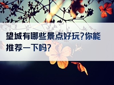 望城有哪些景点好玩？你能推荐一下吗？