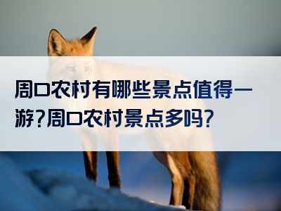 周口农村有哪些景点值得一游？周口农村景点多吗？