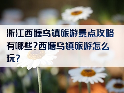 浙江西塘乌镇旅游景点攻略有哪些？西塘乌镇旅游怎么玩？