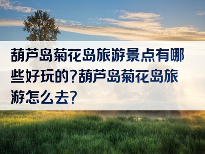 葫芦岛菊花岛旅游景点有哪些好玩的？葫芦岛菊花岛旅游怎么去？