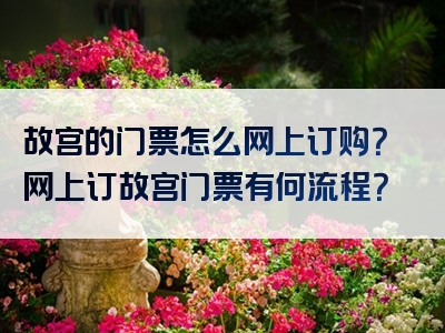 故宫的门票怎么网上订购？网上订故宫门票有何流程？