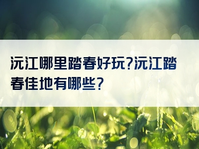 沅江哪里踏春好玩？沅江踏春佳地有哪些？