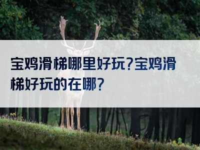 宝鸡滑梯哪里好玩？宝鸡滑梯好玩的在哪？
