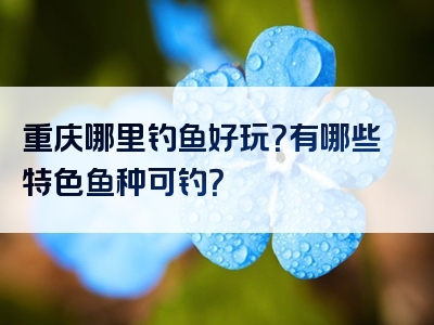 重庆哪里钓鱼好玩？有哪些特色鱼种可钓？