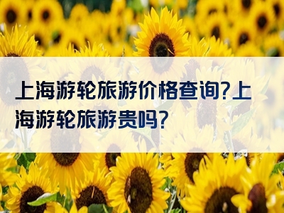 上海游轮旅游价格查询？上海游轮旅游贵吗？