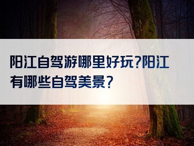 阳江自驾游哪里好玩？阳江有哪些自驾美景？