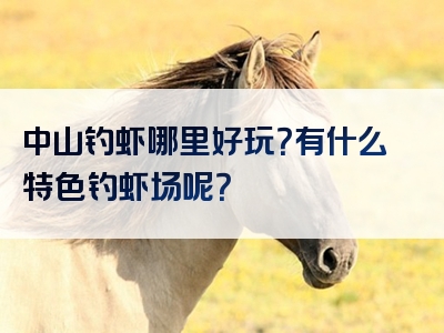 中山钓虾哪里好玩？有什么特色钓虾场呢？