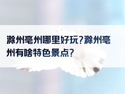 滁州亳州哪里好玩？滁州亳州有啥特色景点？