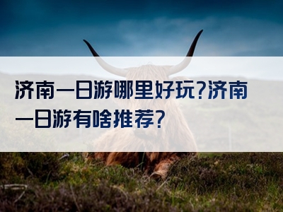 济南一日游哪里好玩？济南一日游有啥推荐？