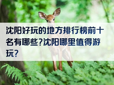沈阳好玩的地方排行榜前十名有哪些？沈阳哪里值得游玩？