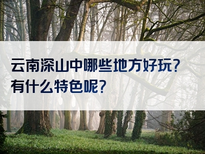 云南深山中哪些地方好玩？有什么特色呢？