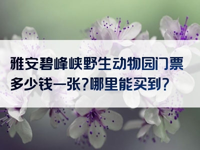 雅安碧峰峡野生动物园门票多少钱一张？哪里能买到？
