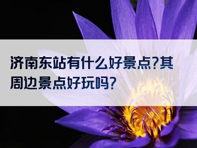 济南东站有什么好景点？其周边景点好玩吗？