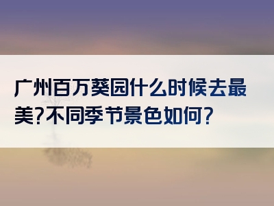 广州百万葵园什么时候去最美？不同季节景色如何？