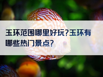 玉环范围哪里好玩？玉环有哪些热门景点？