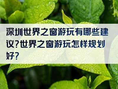 深圳世界之窗游玩有哪些建议？世界之窗游玩怎样规划好？