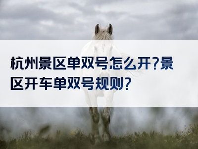 杭州景区单双号怎么开？景区开车单双号规则？