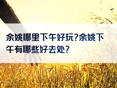 余姚哪里下午好玩？余姚下午有哪些好去处？